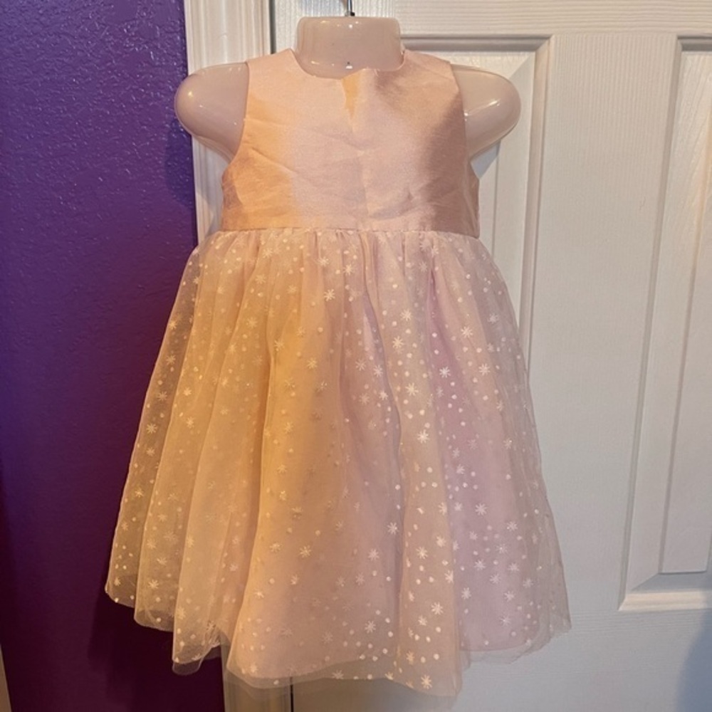 Special occasion princess girl net dress on silk 18 month